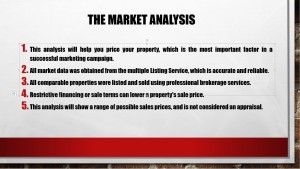 Real Estate Marketing Plan 1